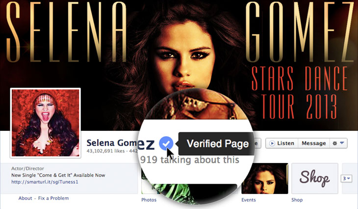 Verified Page Facebook